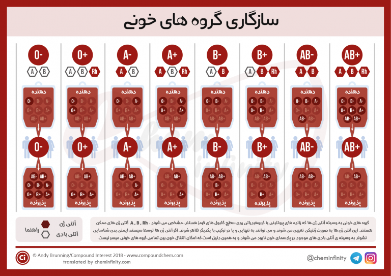 انواع گروه خونی و سازگاری آنها